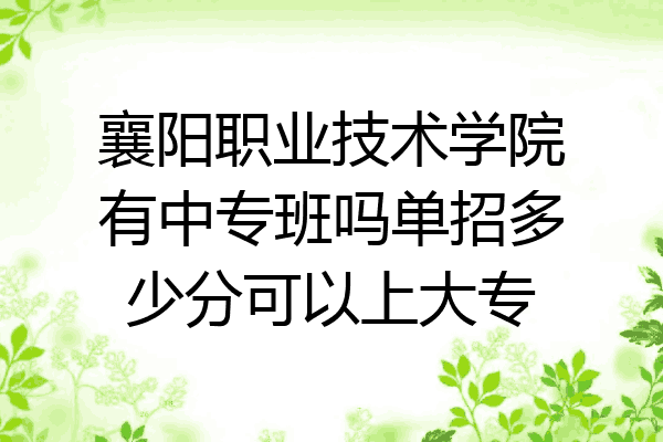 襄阳职业技术学院有中专班吗单招多少分可以上大专