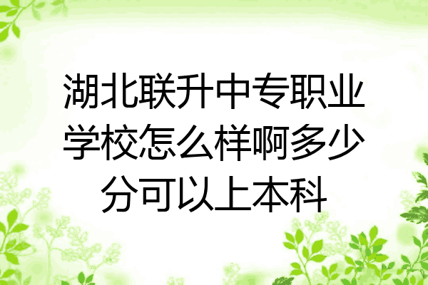 湖北联升中专职业学校怎么样啊多少分可以上本科