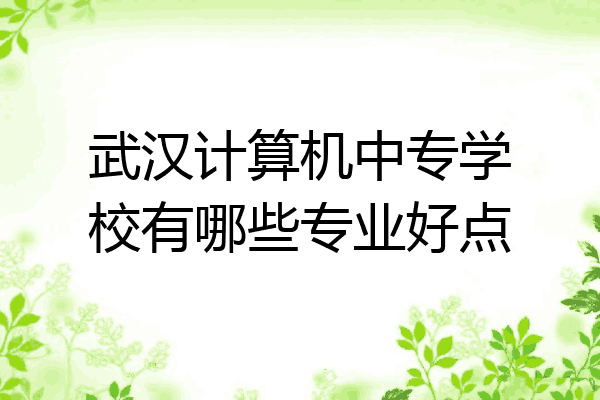武汉计算机中专学校有哪些专业好点