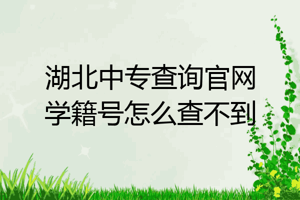 湖北中专查询官网学籍号怎么查不到