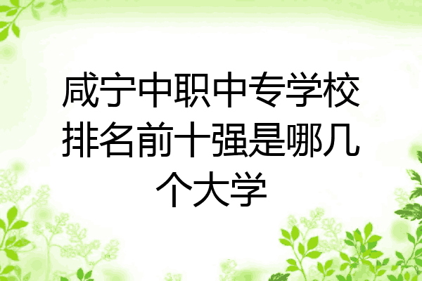 咸宁中职中专学校排名前十强是哪几个大学