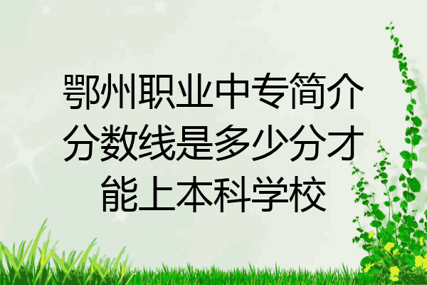 鄂州职业中专简介分数线是多少分才能上本科学校