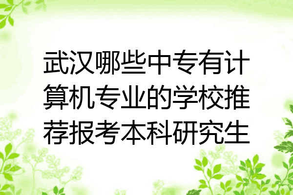 武汉哪些中专有计算机专业的学校推荐报考本科研究生