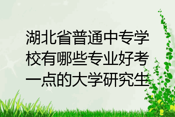 湖北省普通中专学校有哪些专业好考一点的大学研究生