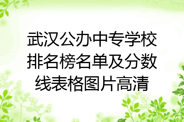 武汉公办中专学校排名榜名单及分数线表格图片高清