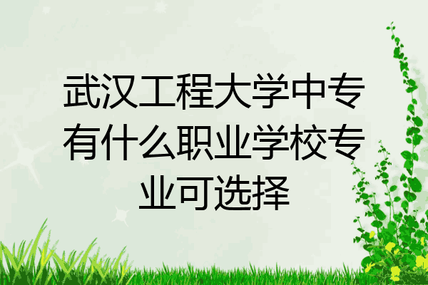 武汉工程大学中专有什么职业学校专业可选择