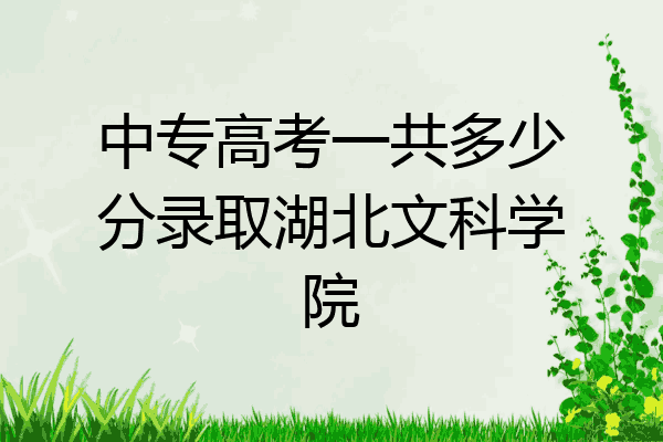 中专高考一共多少分录取湖北文科学院