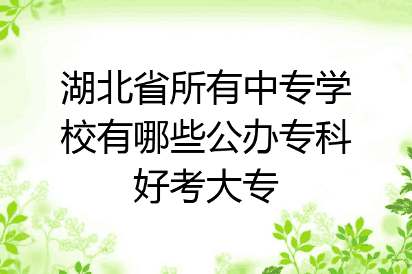 湖北省所有中专学校有哪些公办专科好考大专