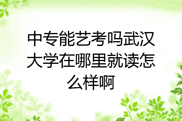 中专能艺考吗武汉大学在哪里就读怎么样啊