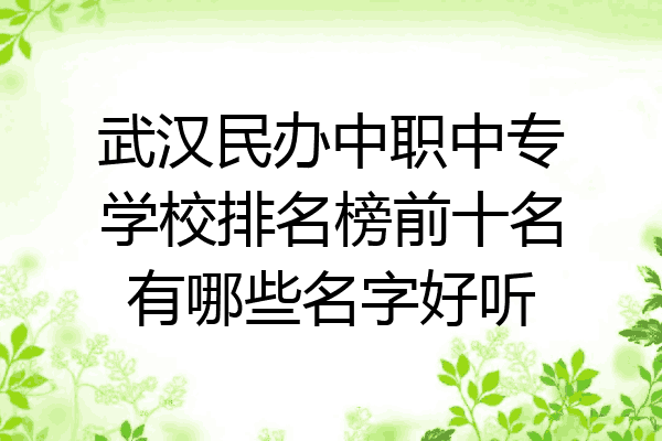 武汉民办中职中专学校排名榜前十名有哪些名字好听