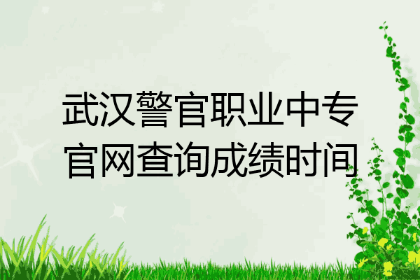 武汉警官职业中专官网查询成绩时间