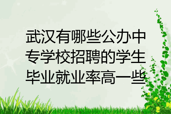 武汉有哪些公办中专学校招聘的学生毕业就业率高一些