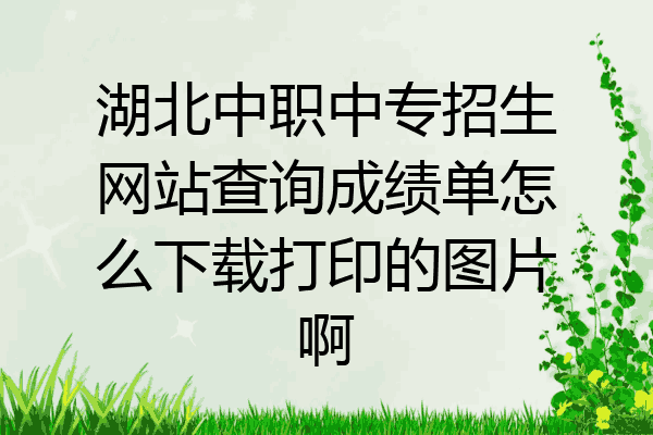 湖北中职中专招生网站查询成绩单怎么下载打印的图片啊
