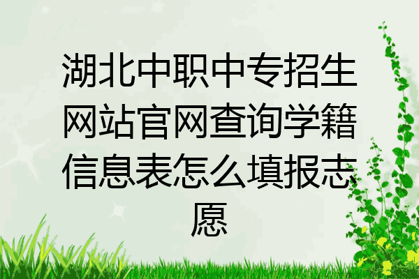 湖北中职中专招生网站官网查询学籍信息表怎么填报志愿