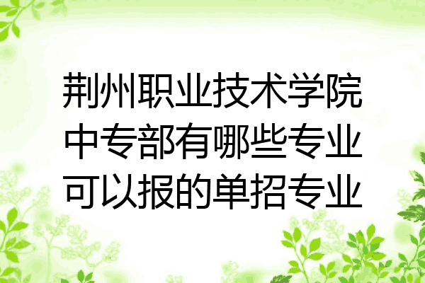 荆州职业技术学院中专部有哪些专业可以报的单招专业