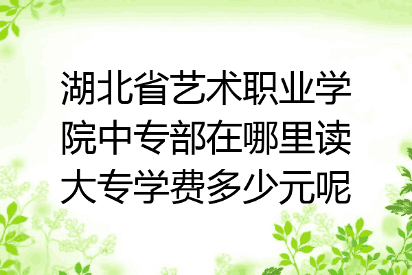 湖北省艺术职业学院中专部在哪里读大专学费多少元呢