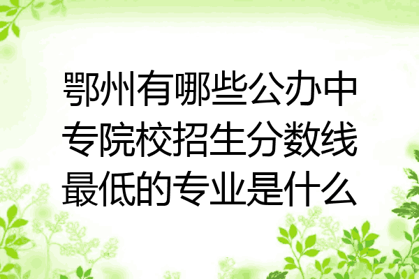 鄂州有哪些公办中专院校招生分数线最低的专业是什么