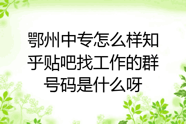 鄂州中专怎么样知乎贴吧找工作的群号码是什么呀