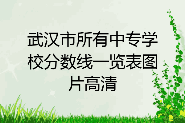 武汉市所有中专学校分数线一览表图片高清