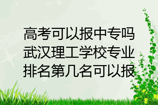 高考可以报中专吗武汉理工学校专业排名第几名可以报
