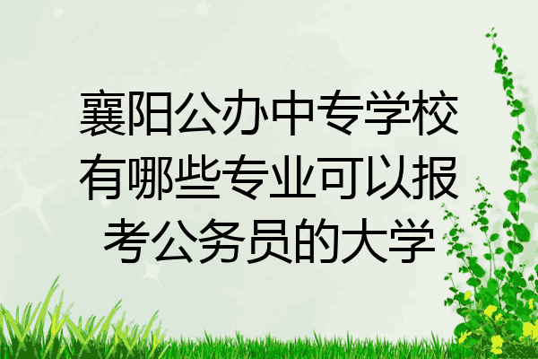 襄阳公办中专学校有哪些专业可以报考公务员的大学