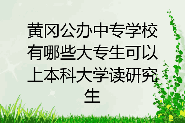 黄冈公办中专学校有哪些大专生可以上本科大学读研究生