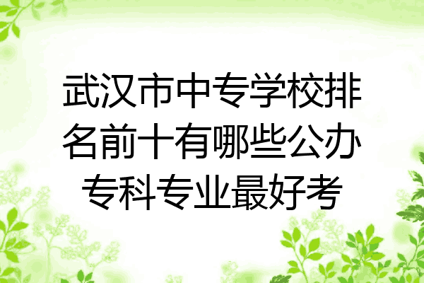 武汉市中专学校排名前十有哪些公办专科专业最好考
