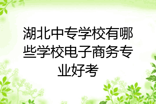 湖北中专学校有哪些学校电子商务专业好考