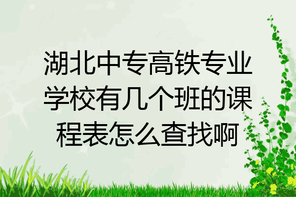 湖北中专高铁专业学校有几个班的课程表怎么查找啊