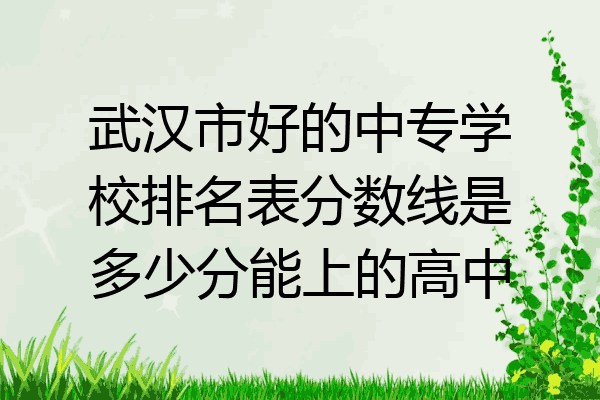武汉市好的中专学校排名表分数线是多少分能上的高中