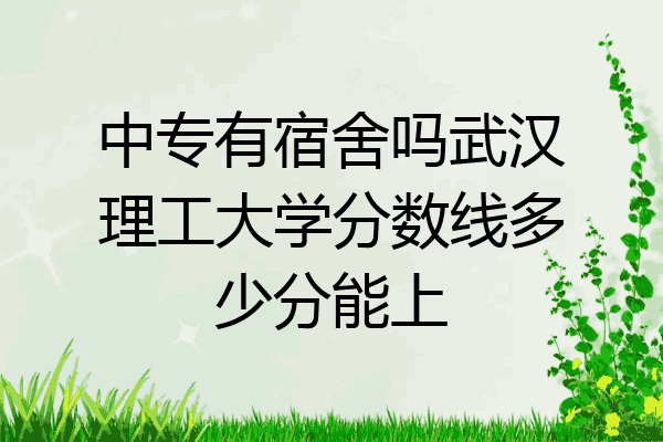 中专有宿舍吗武汉理工大学分数线多少分能上