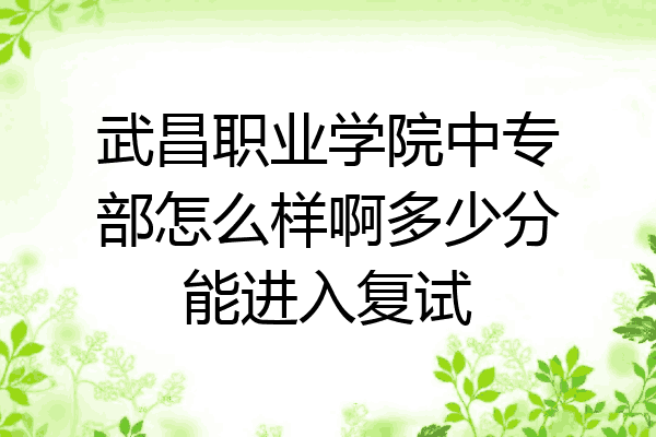 武昌职业学院中专部怎么样啊多少分能进入复试