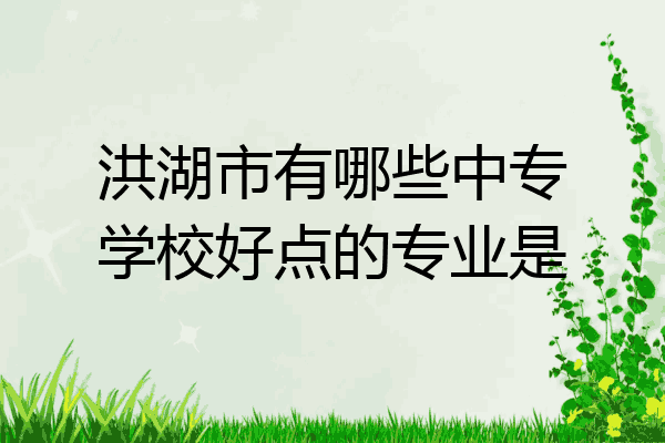 洪湖市有哪些中专学校好点的专业是