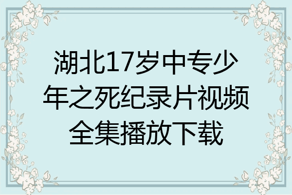 湖北17岁中专少年之死纪录片视频全集播放下载