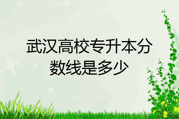 武汉高校专升本分数线是多少