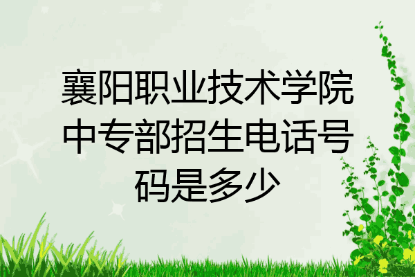 襄阳职业技术学院中专部招生电话号码是多少