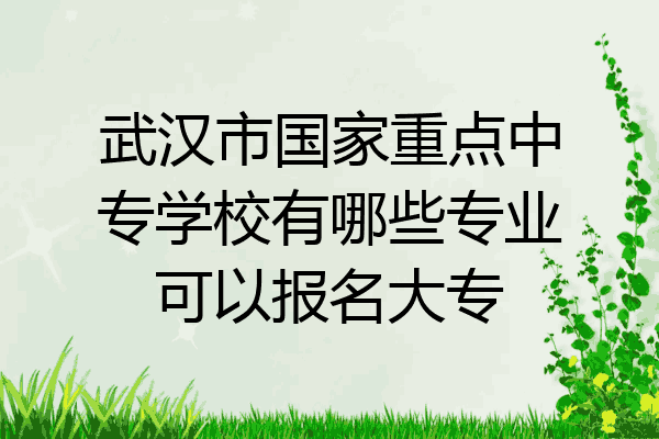 武汉市国家重点中专学校有哪些专业可以报名大专