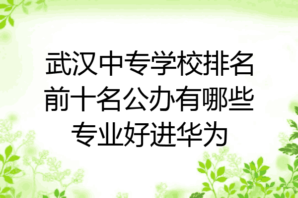 武汉中专学校排名前十名公办有哪些专业好进华为