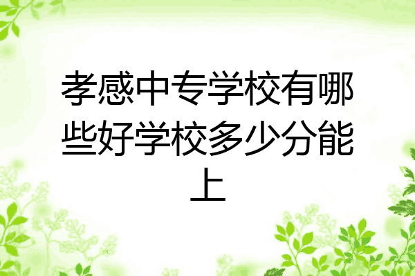 孝感中专学校有哪些好学校多少分能上