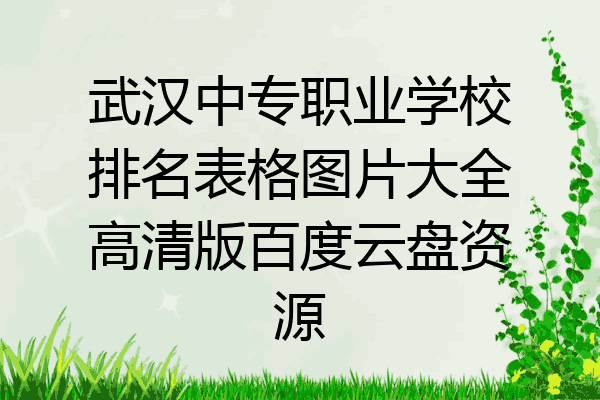 武汉中专职业学校排名表格图片大全高清版百度云盘资源
