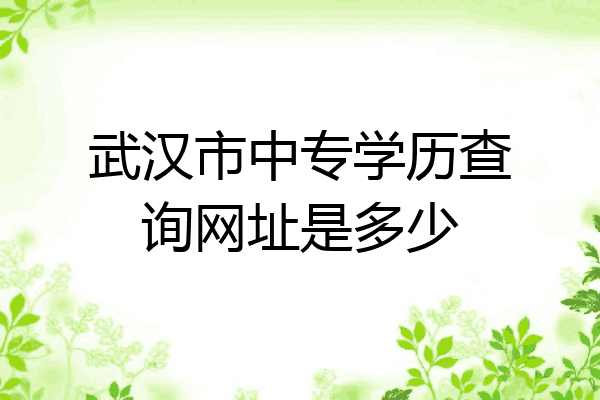 武汉市中专学历查询网址是多少
