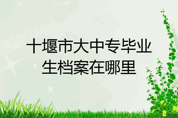 十堰市大中专毕业生档案在哪里