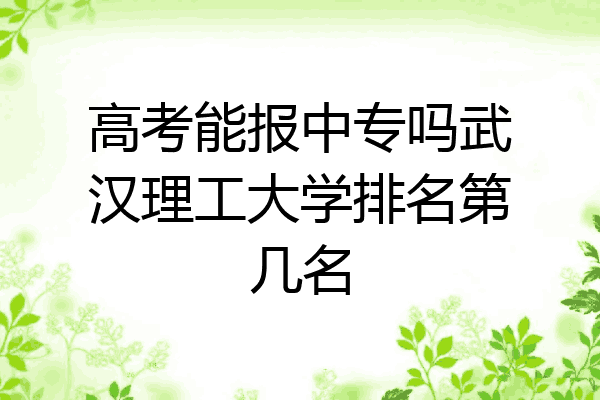 高考能报中专吗武汉理工大学排名第几名