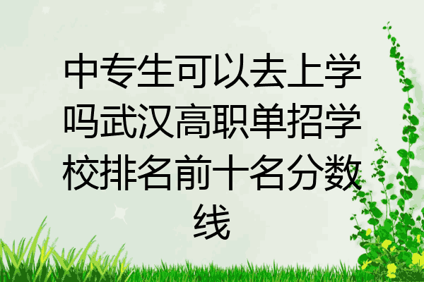 中专生可以去上学吗武汉高职单招学校排名前十名分数线