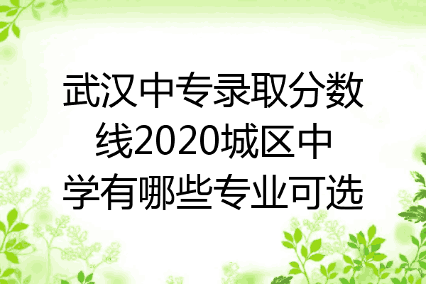 武汉中专录取分数线2020城区中学有哪些专业可选
