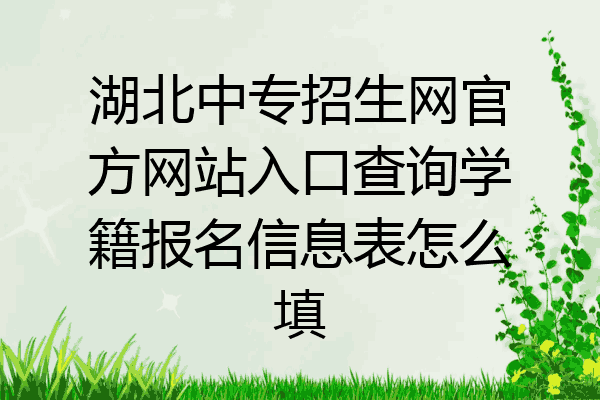 湖北中专招生网官方网站入口查询学籍报名信息表怎么填