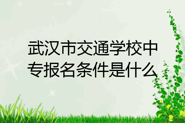 武汉市交通学校中专报名条件是什么