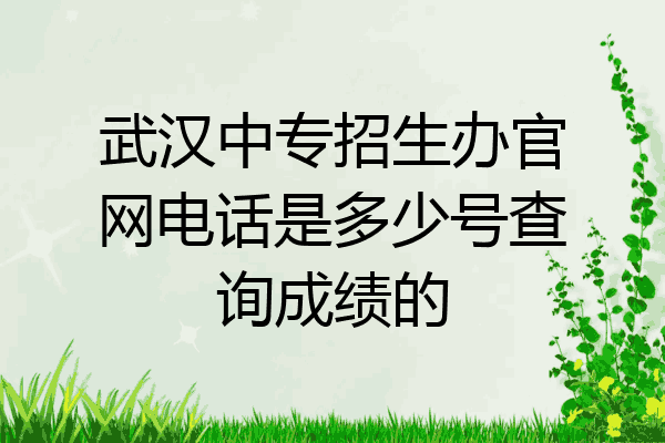 武汉中专招生办官网电话是多少号查询成绩的