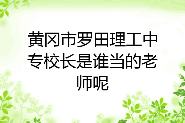 黄冈市罗田理工中专校长是谁当的老师呢