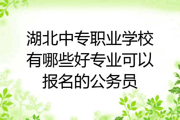 湖北中专职业学校有哪些好专业可以报名的公务员